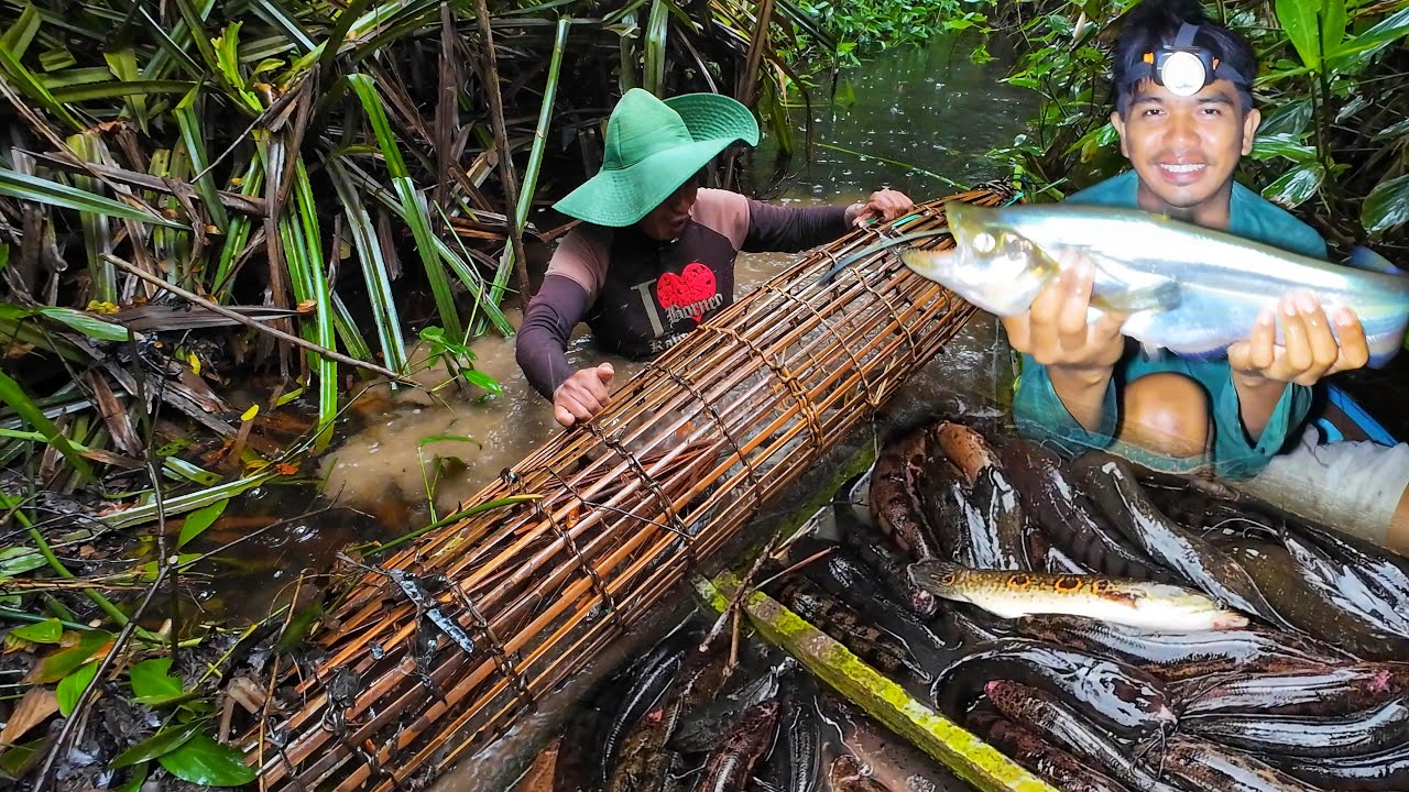 PANEN BERBURU PERANGKAP SAAT MUSIM SURUT DI RAWA & BERMALAM DI RAKIT MENCARI IKAN SUNGAI YANG BESAR
