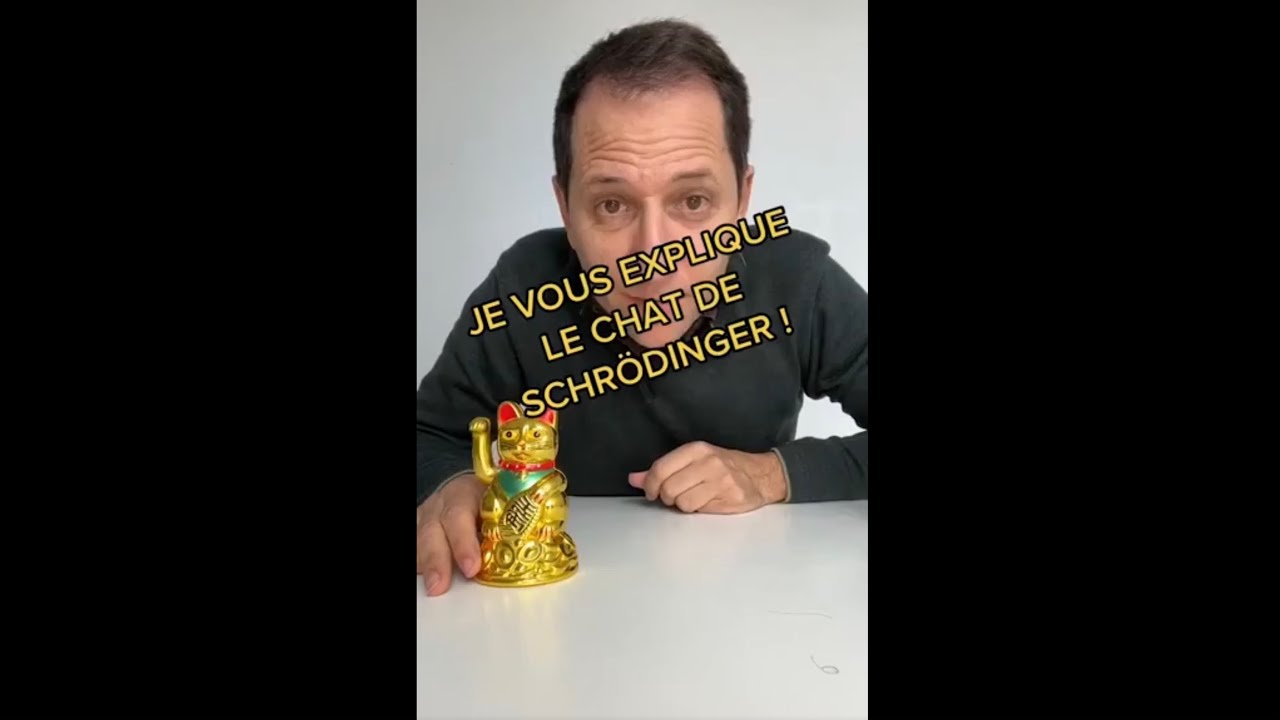 Le chat de Schr&ouml;dinger (short n&deg;102)