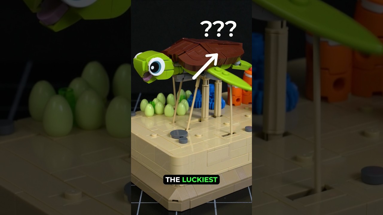 Мой самый удачный момент сборки LEGO #lego #turtle #machine