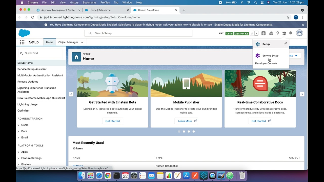 1. Salesforce Integration with Mulesoft, Call Mule API from Salesforce