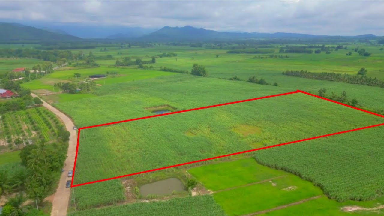 K45ขายที่ดินโฉนดนศ 3 ก ครุฑเขียวจำนวน 15 ไร่ติดทางคอนกรีตชนบทแปลงที่ดินอำเภอบ้านไร่ จังหวัดอุทัยธานี