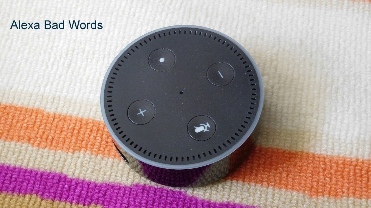 Alexa Say Bad Words
