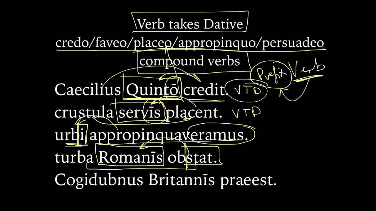 GRAMMATICAL FUNCTION