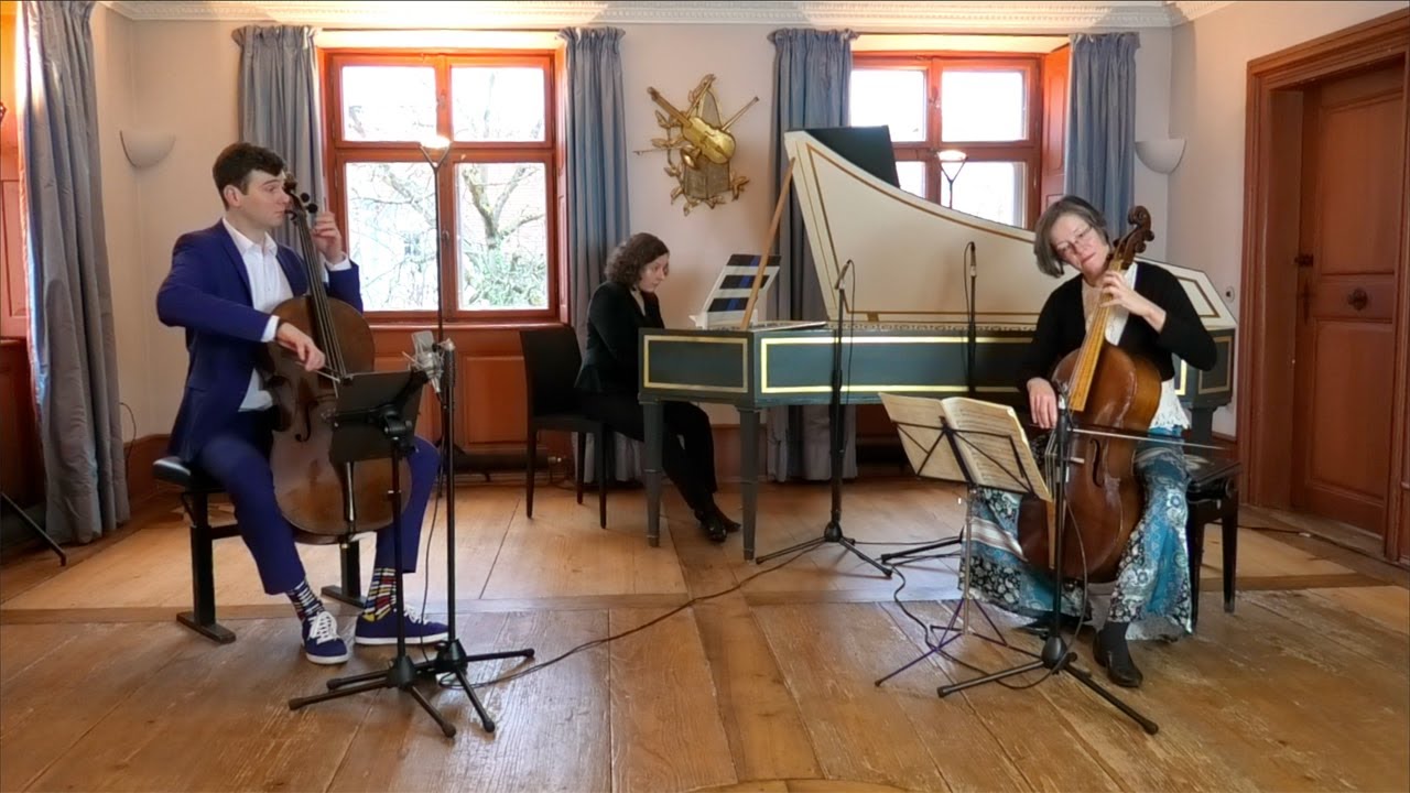 Antonio Vivaldi cello sonata No. 3 in A Minor, RV 43 - Johannes Raab