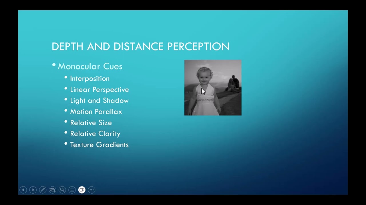 Chapter 5 - Depth Perception