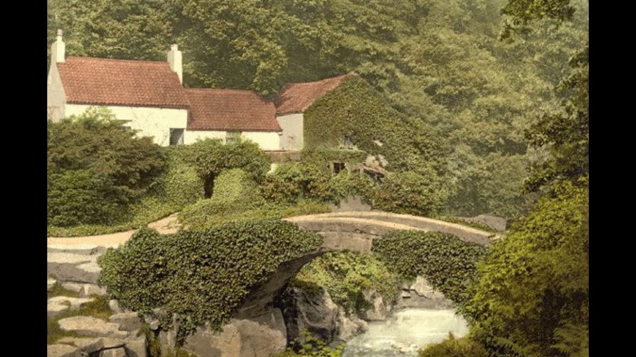 Ouseburn and Jesmond Dene Walk - Part 2 | UK | Newcastle Upon Tyne