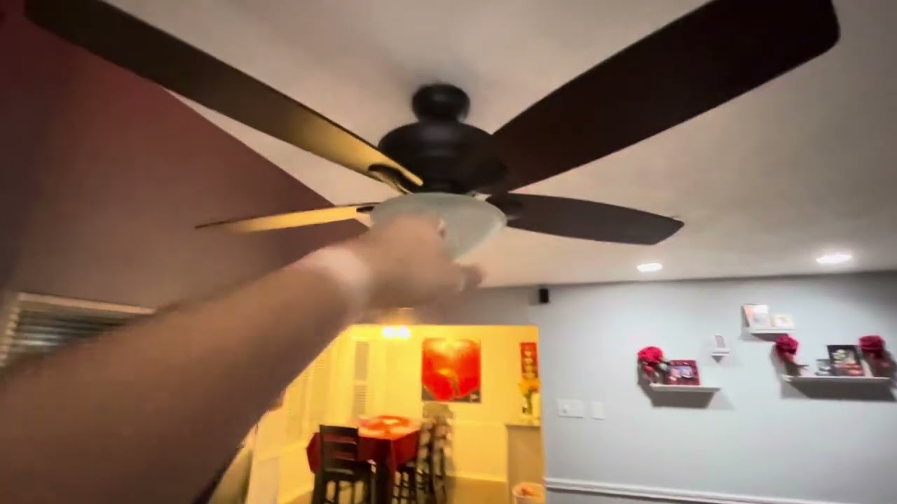 Happy national ceiling fan day guys