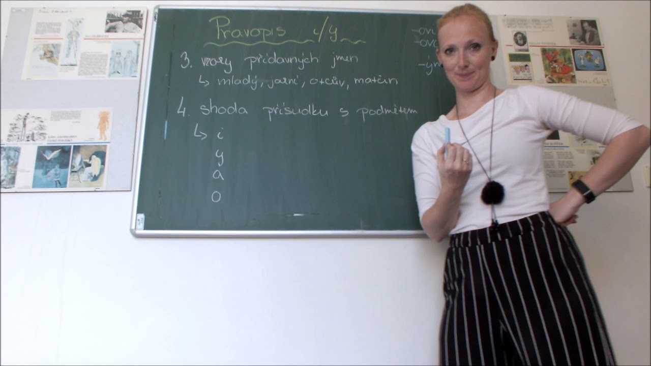 7. třída Český jazyk - Pravopis i/y (vzory PřJ, shoda přísudku s podmětem)