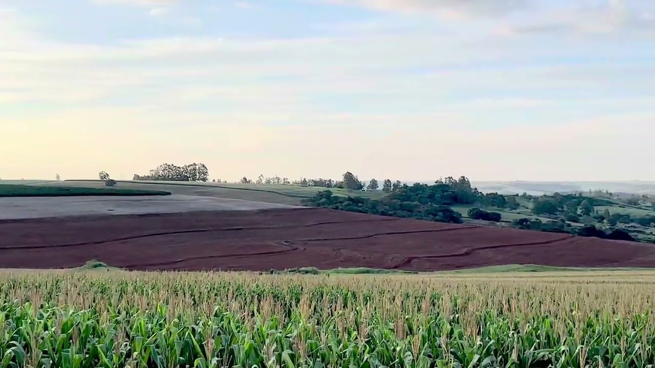 PAISAGEM RURAL