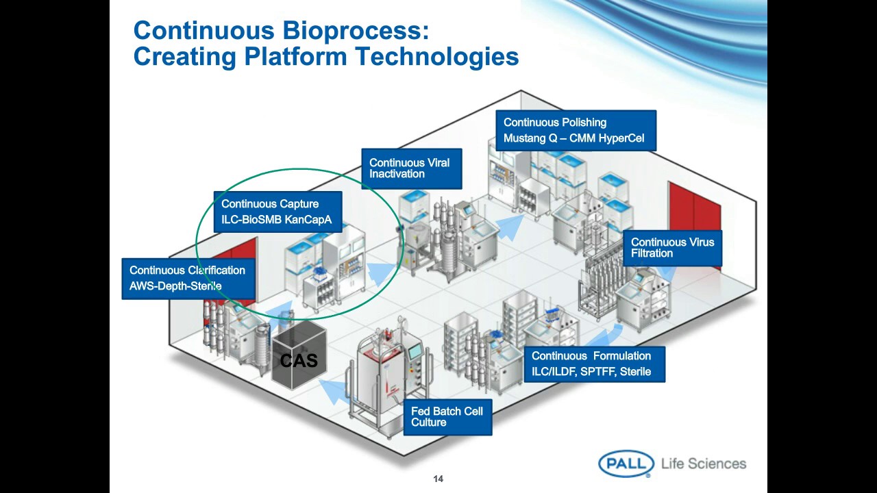Continuous BioProcessing: Not a Revolution but an Evolution