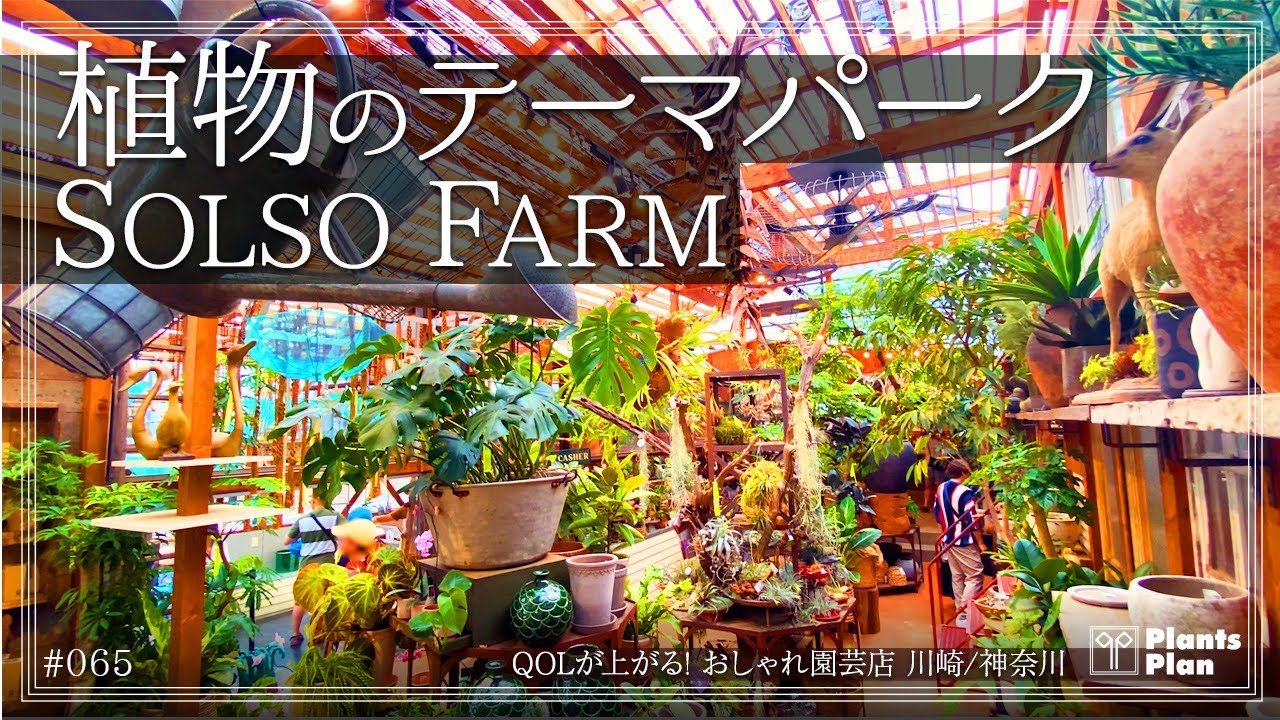 #065 【植物店巡り】植物のテーマパーク「SOLSO FARM」ソルソファームさん(QOLの上がる!おしゃれ園芸店 川崎/神奈川)