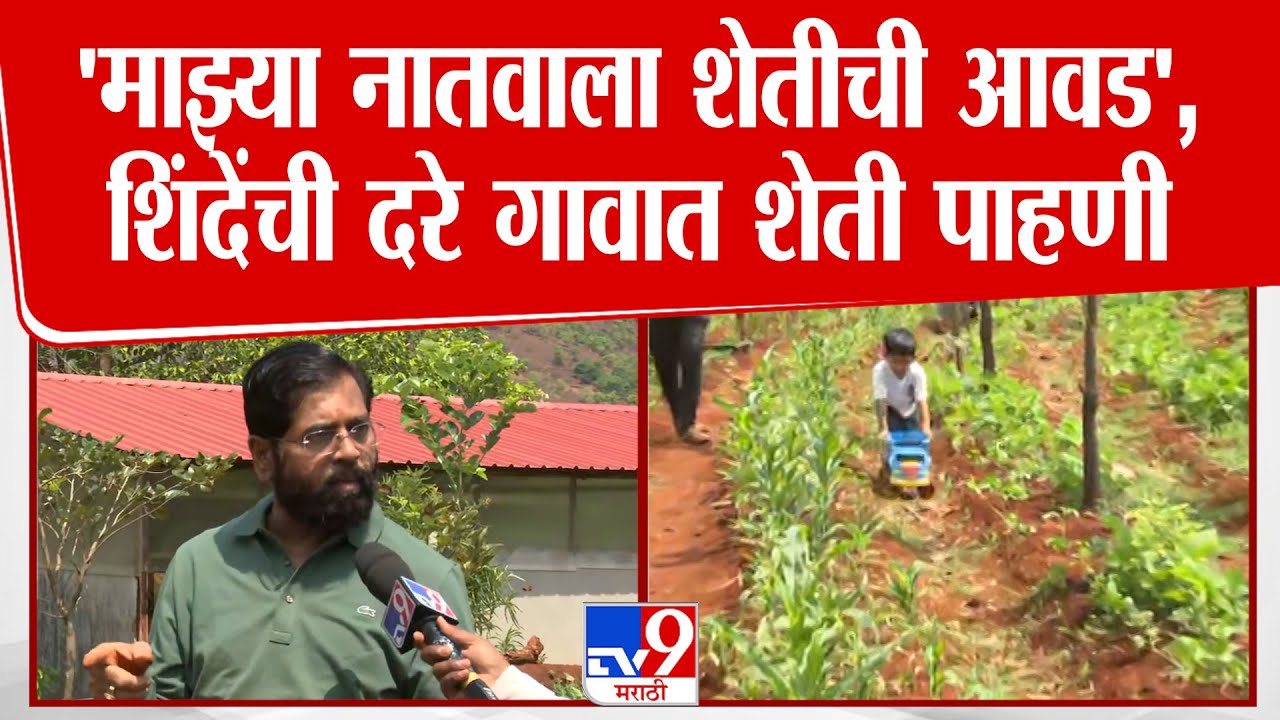 Eknath shinde | 'माझ्या नातवाला शेतीची आवड', शिंदेंची दरे गावात शेती पाहणी