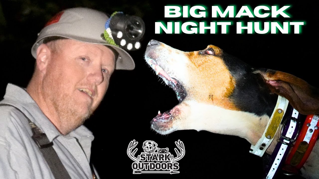 Running Coonhounds with Jimmy Ridgeway & His Walker Hound Big Mack | Stark Outdoors