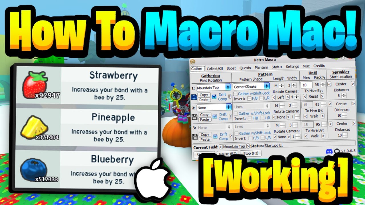 Как использовать МАКРОСЫ на компьютере *MAC* [2024] - Bee Swarm Simulator