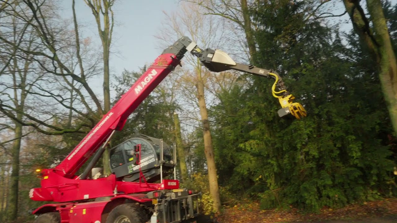 Boomrooierij Weijtmans renovatie Philips de Jongh Wandelpark in Eindhoven