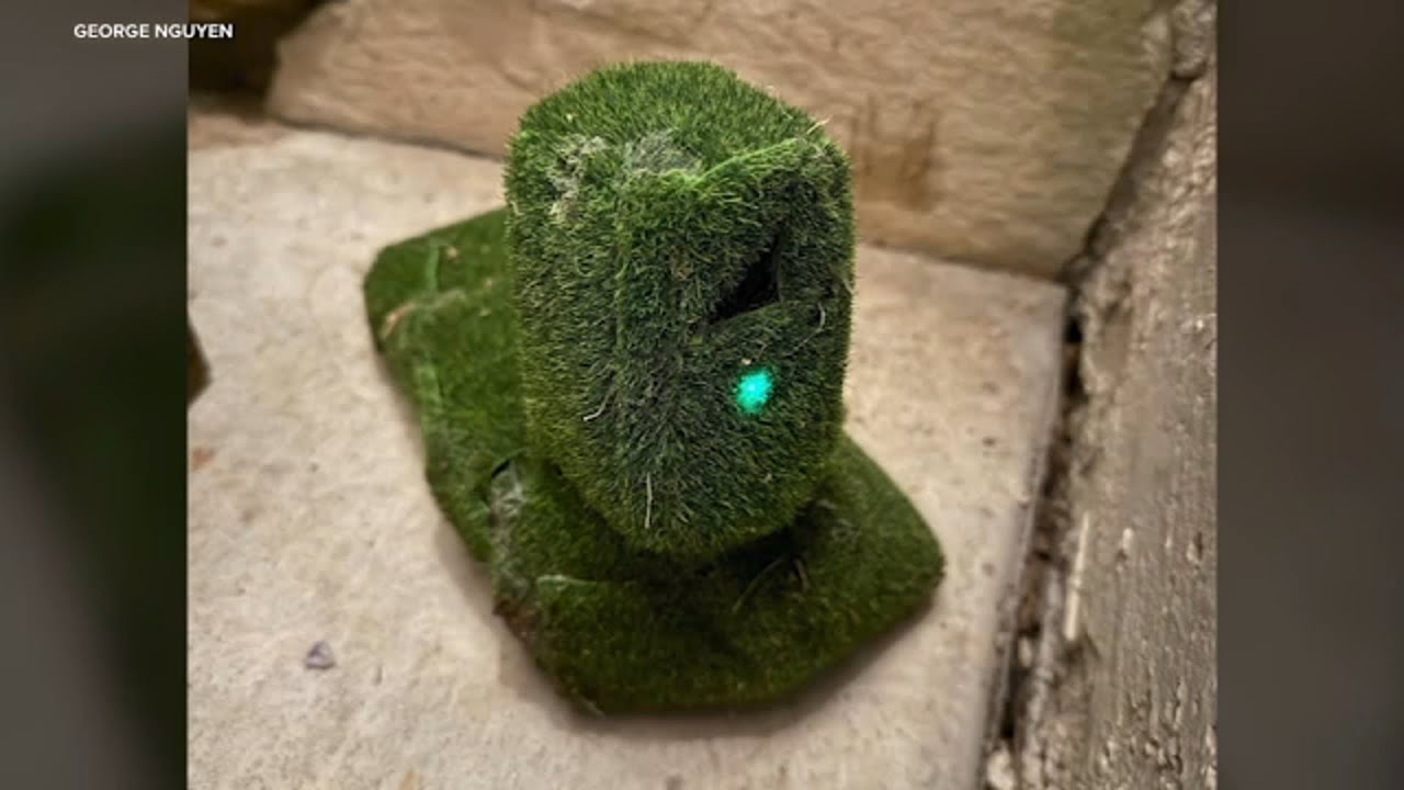 Southern California homeowner finds hidden camera disguised with fake grass in his bushes