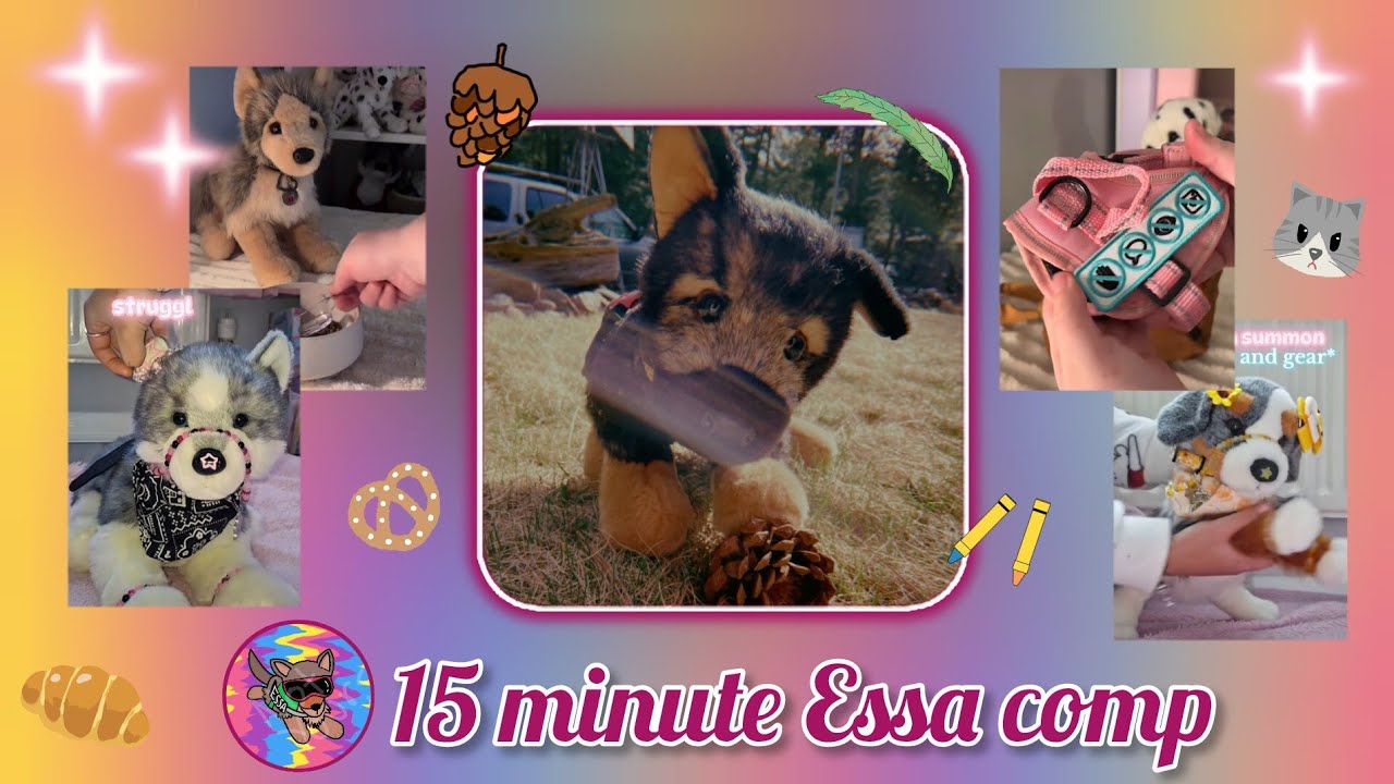 ESSA COMP! To watch with your ESSA'S 🐾