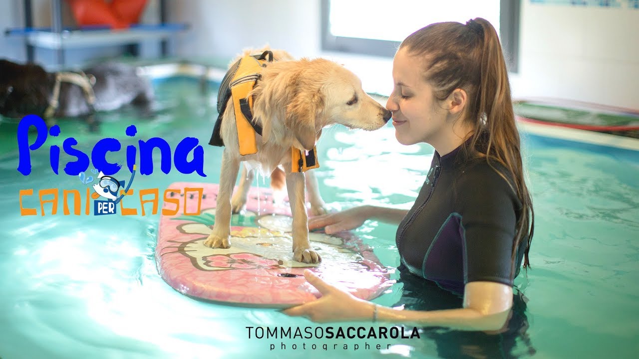 Piscina per cani - Cani per Caso : Emozioni in acqua // Dog Swimming-pool : Water emotions