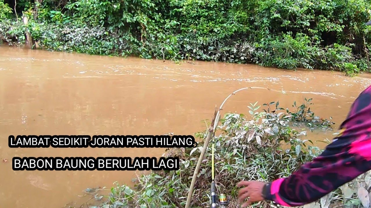 Subhanallah ini Baru Namanya mancing ikan baung joran terbang terbang