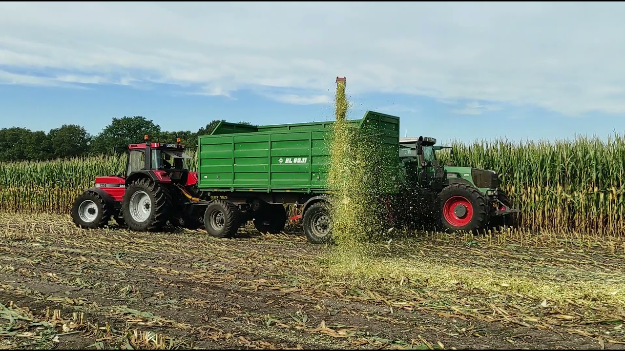 4. Oldtimer Maishäckseln in Borchel 2021 mit Ihc, Fendt, MB Trac, Deutz, Same, John Deere und Lanz