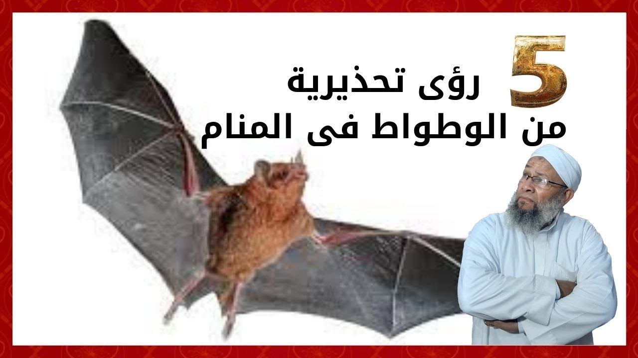 5 رؤى تحذيرية من الوطواط او الخفاش فى المنام_