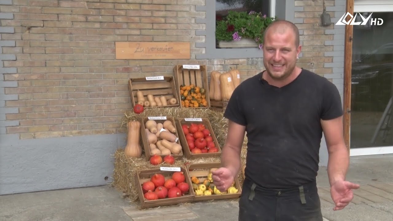 Oberruntiger Familienprojekt Reis und Safranproduktion Schweiz
