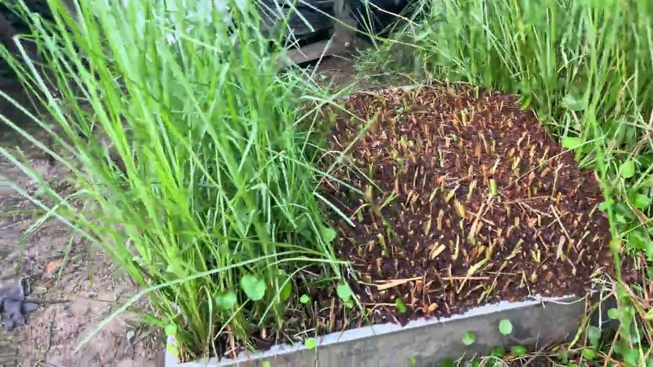 VETIVER TECHNOLOGY SOLUTIONS COM ongoing research and Development powering true sustainability