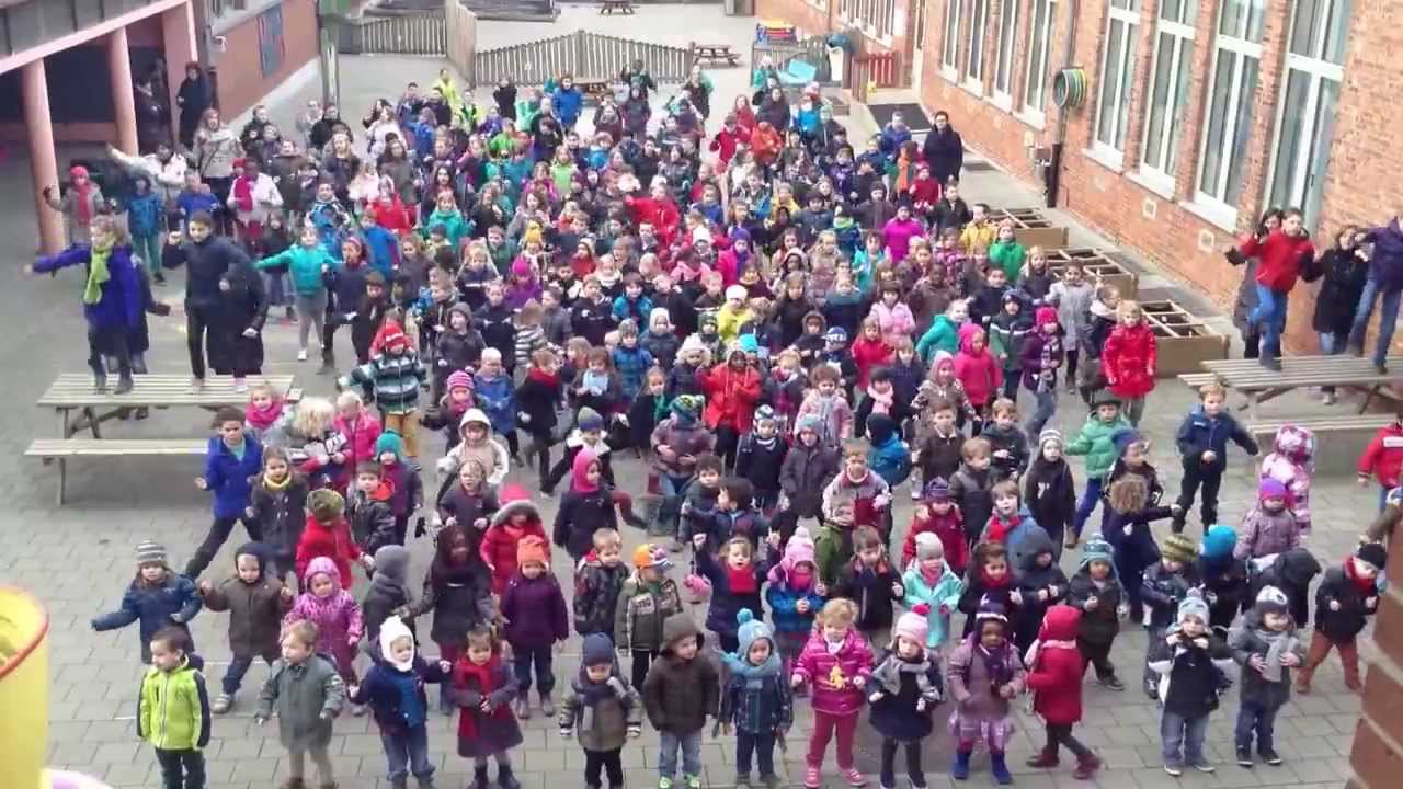 Beukenbos move tegen pesten repetitie