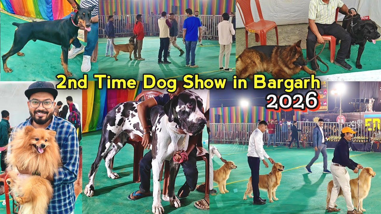 Dog Show in Bargarh 2026 