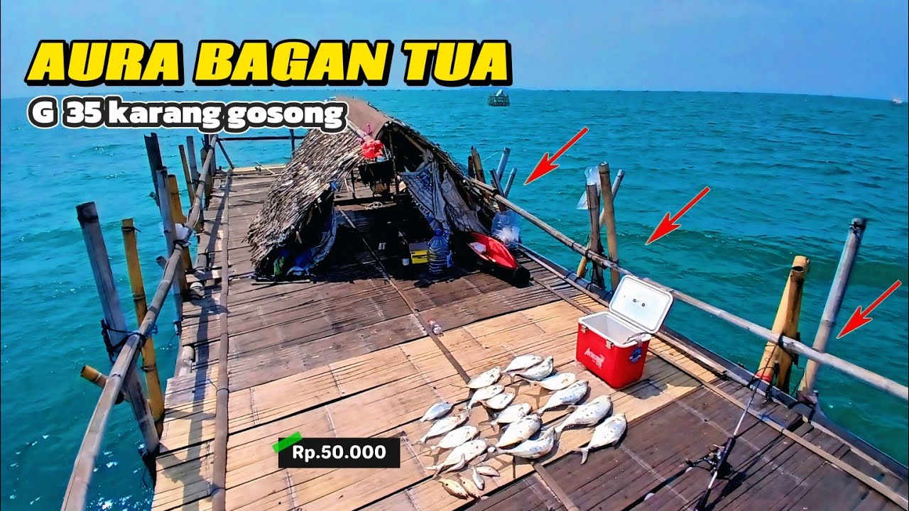Sinting.. ikan di bagan G35 kelaparan, gak di kasih jeda sama sekali ||| bagan tanjung kait