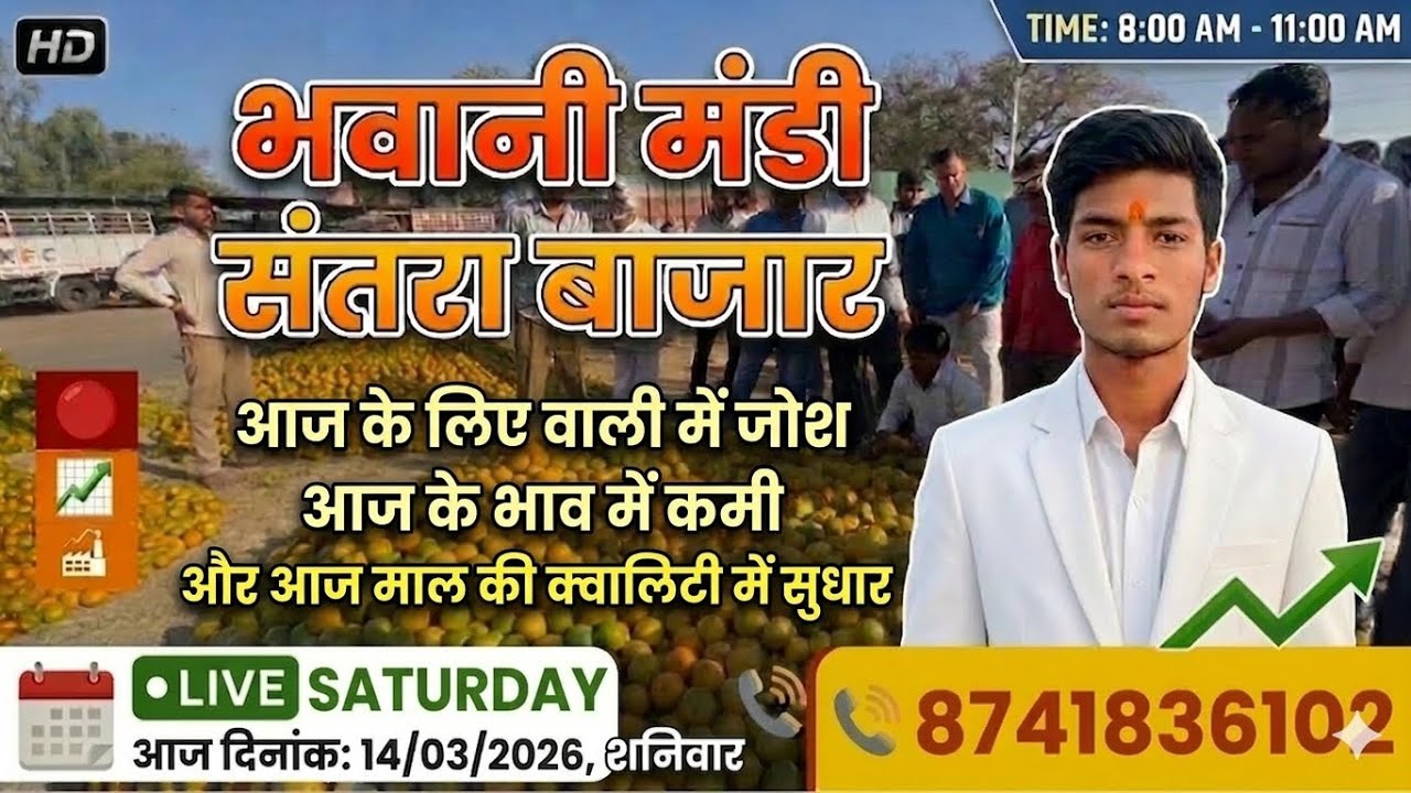 संतरा मंडी अपडेट: कुछ माल हल्का, कुछ बेस्ट क्वालिटी! लेवाली में क्यों आई कमी? #shorts #fruit #food 
