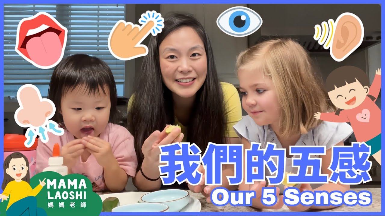 👋👂👀👃👄 5 Senses for Kids in Chinese 帶小朋友認識五感 | 觸覺👋聽覺👂視覺👀嗅覺👃味覺👄 #優質兒童影片#五感 #5senses