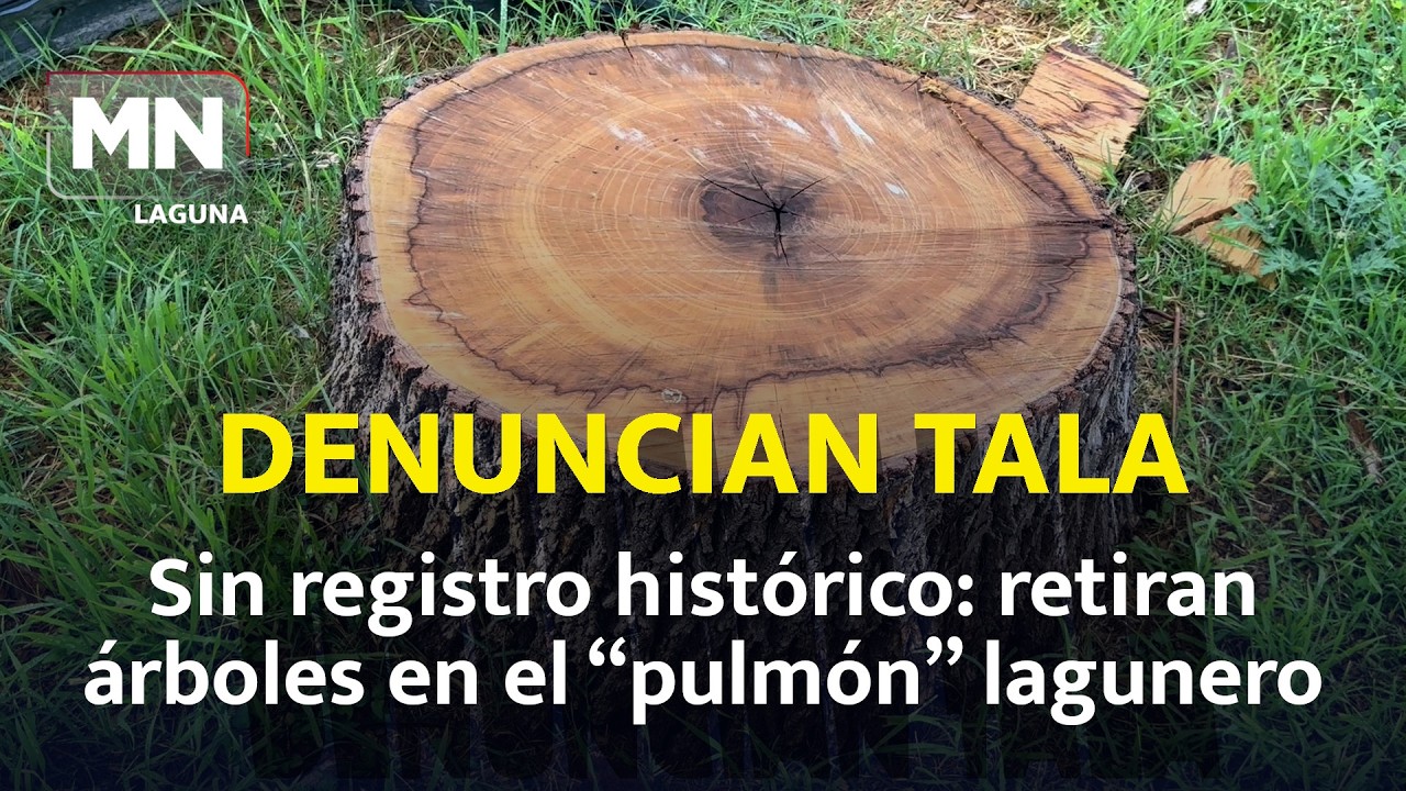 Polémica por tala en el Bosque Venustiano Carranza