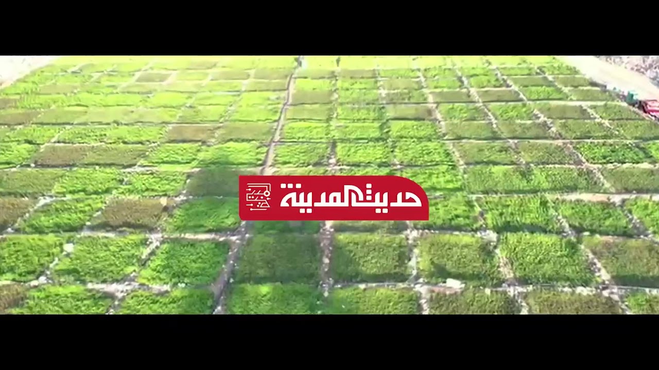 مزرعة أكليل الجبل