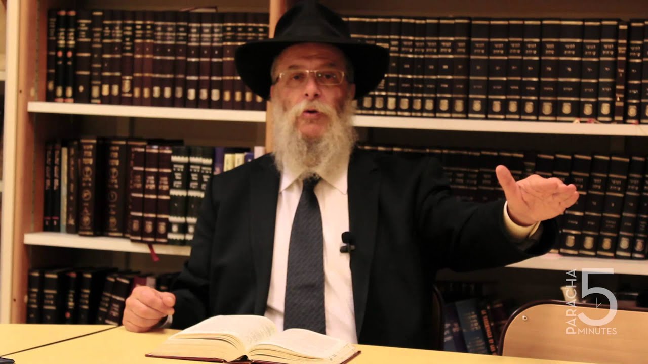 La paracha en 5 minutes : Mikets