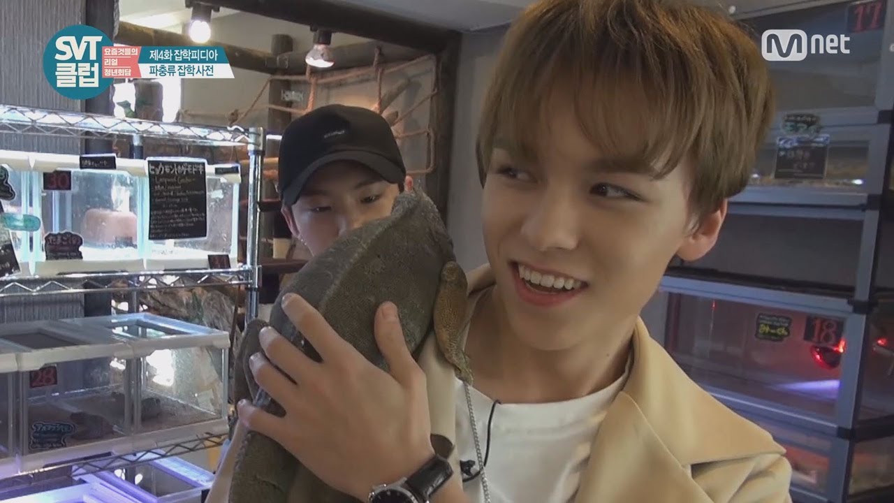 [SVT클럽] 4화 : 애완동물로 뱀? 버논&호시 파충류 카페에 가다