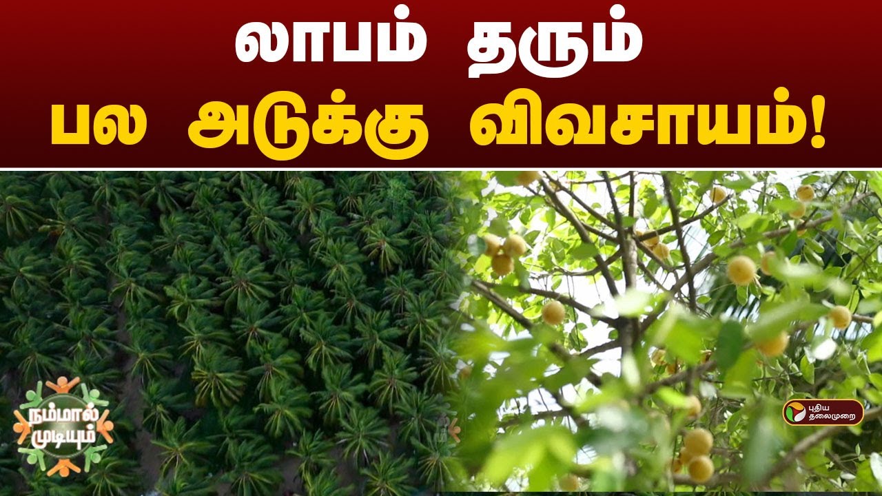 NammalMudium | லாபம் தரும் பல அடுக்கு விவசாயம் | PTT