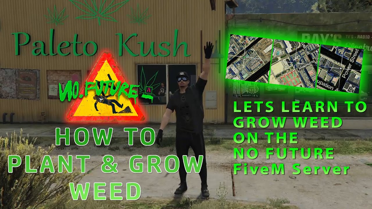 No Future Weed Planting, Growing and Selling | FiveM Server | No Future RP