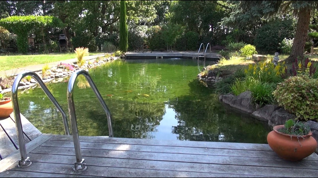 Le bassin d'Antoine à Gleizé (69665) - Découverte Aquatique