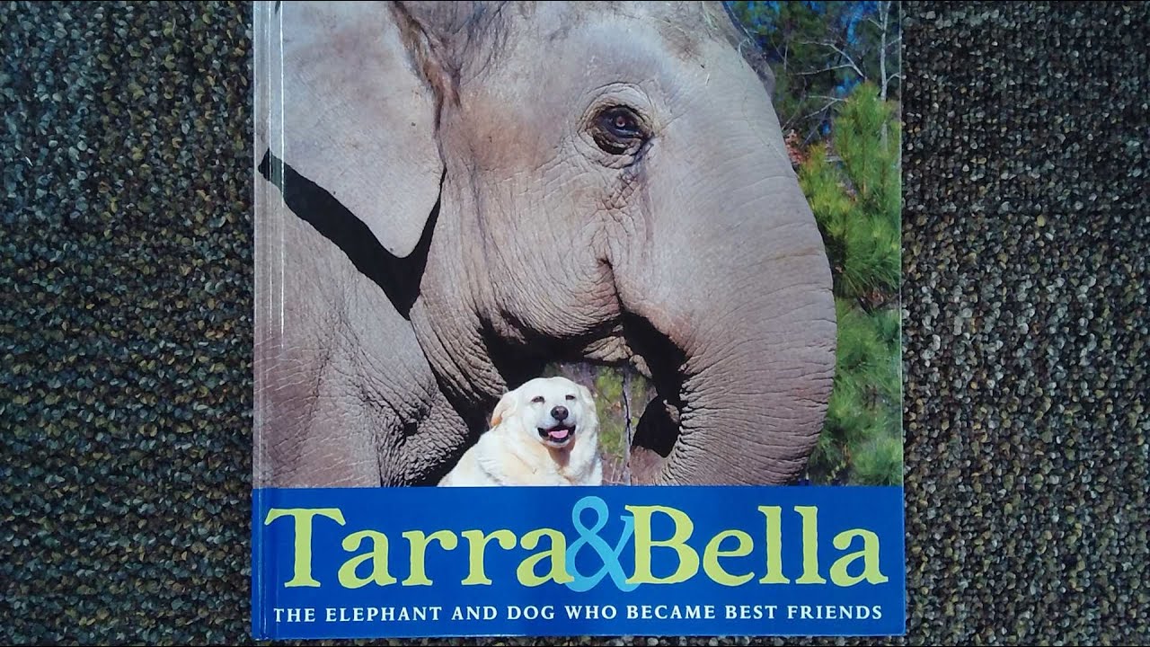 Tarra & Bella by Carol Buckley Read Aloud