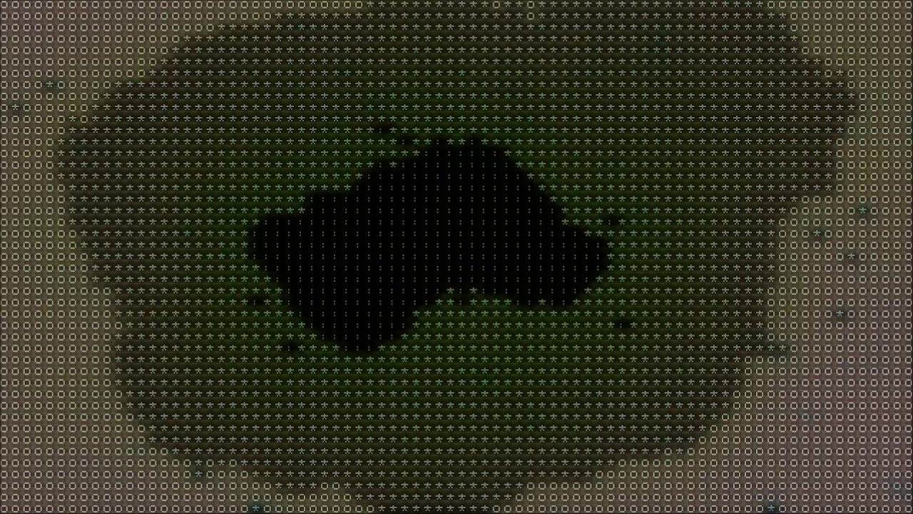 kodework - Shadow Box