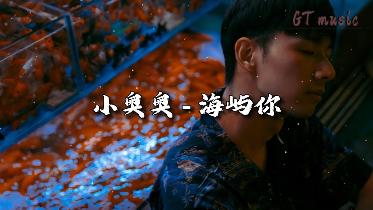 小奥奥 - 海屿你『我们之间的故事还不多，这回忆的漩涡，快要把我吞没。』【动态歌词MV】