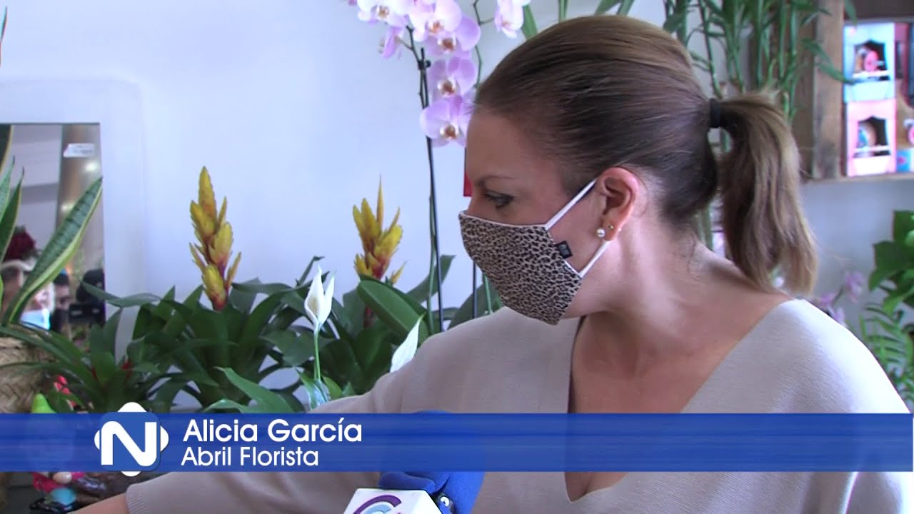 BENEFICIOS PLANTAS DE INTERIOR 121120 NOT6