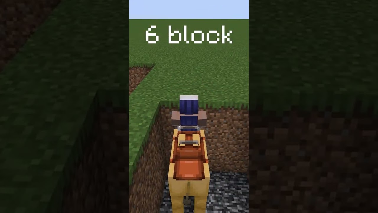 Camels can jump up to 12 blocks.