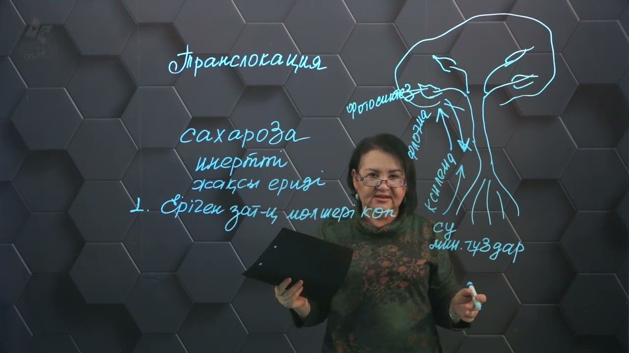 Өсімдіктердегі заттар транслокациясының механизмі. 1 бөлім. 11 сынып.