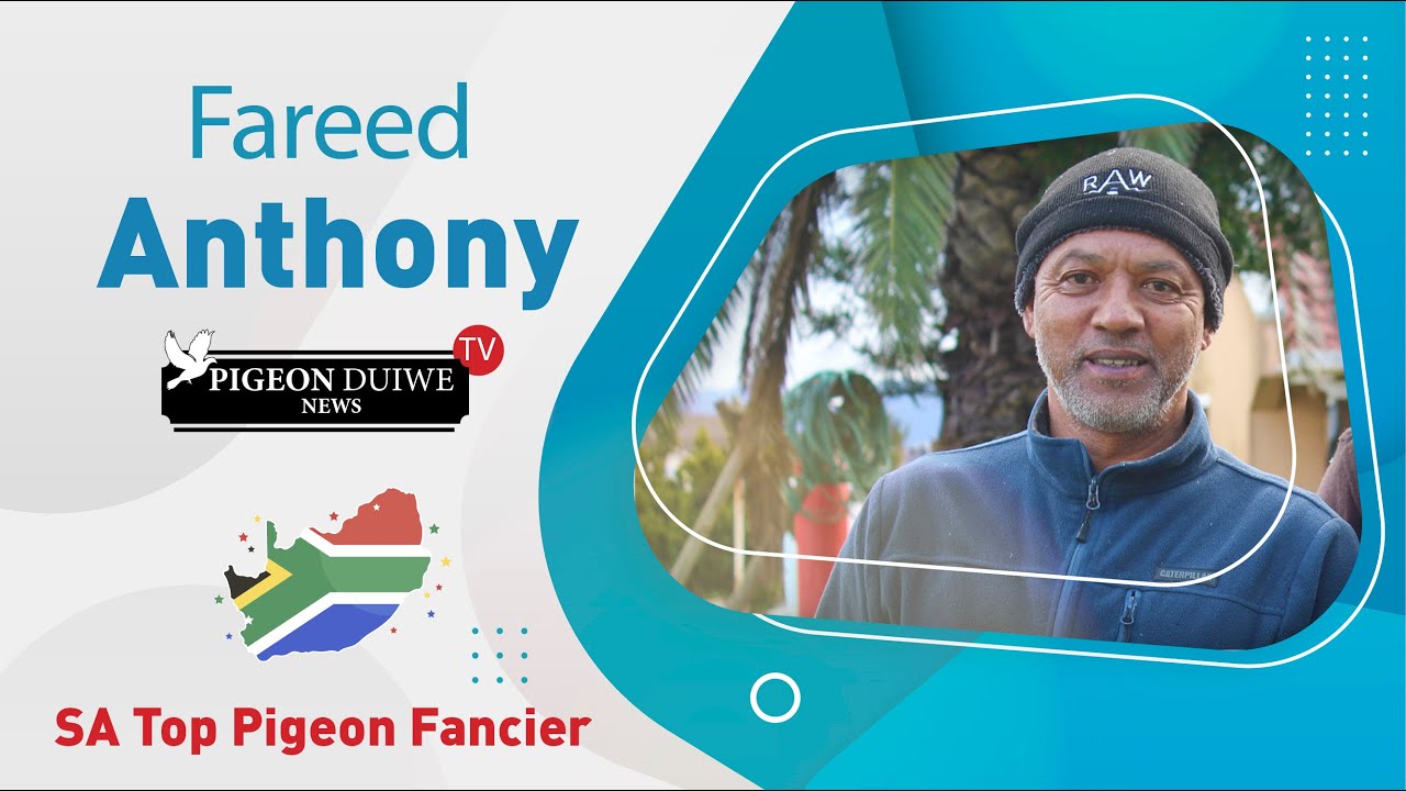 Pigeon Duiwe News TV- Fareed Anthony - SA Top Pigeon Fancier. S1: E22