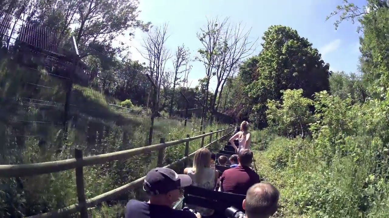 Miniature Train Ride Blackpool Zoo (4k POV)