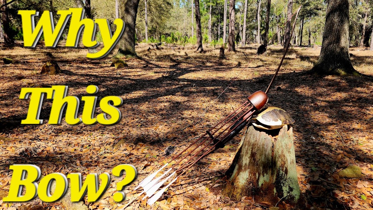 Stalking pigs and scouting for turkeys while bow hunting with a traditional longbow