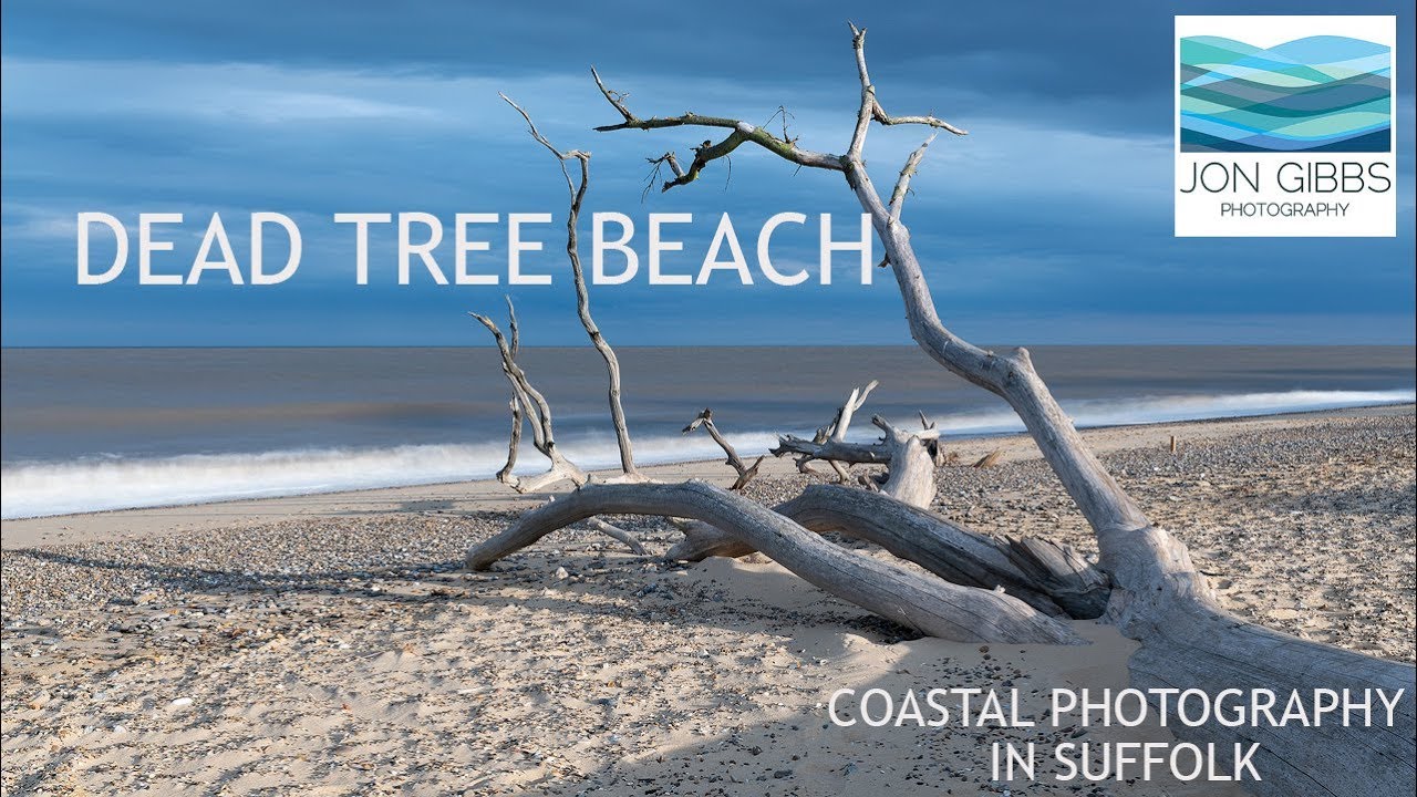 DEAD TREE BEACH - Coastal Photography in Suffolk