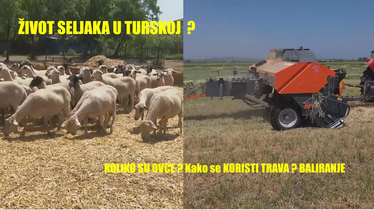 TURSKI SELJAK - baliranje SLAME - PAKSAN balirka - ali kako se živi na selu   MLADI POLJOPRIVREDNICI